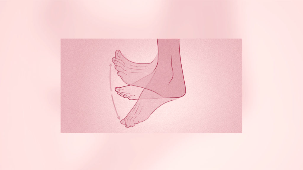 Point Your Toes vs. Point Your Foot The Ballet Source The Ballet Source