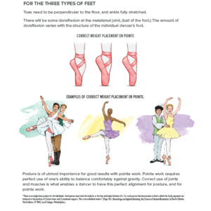 Pointe 2: More About Pointe - The Ballet Source - The Ballet Source